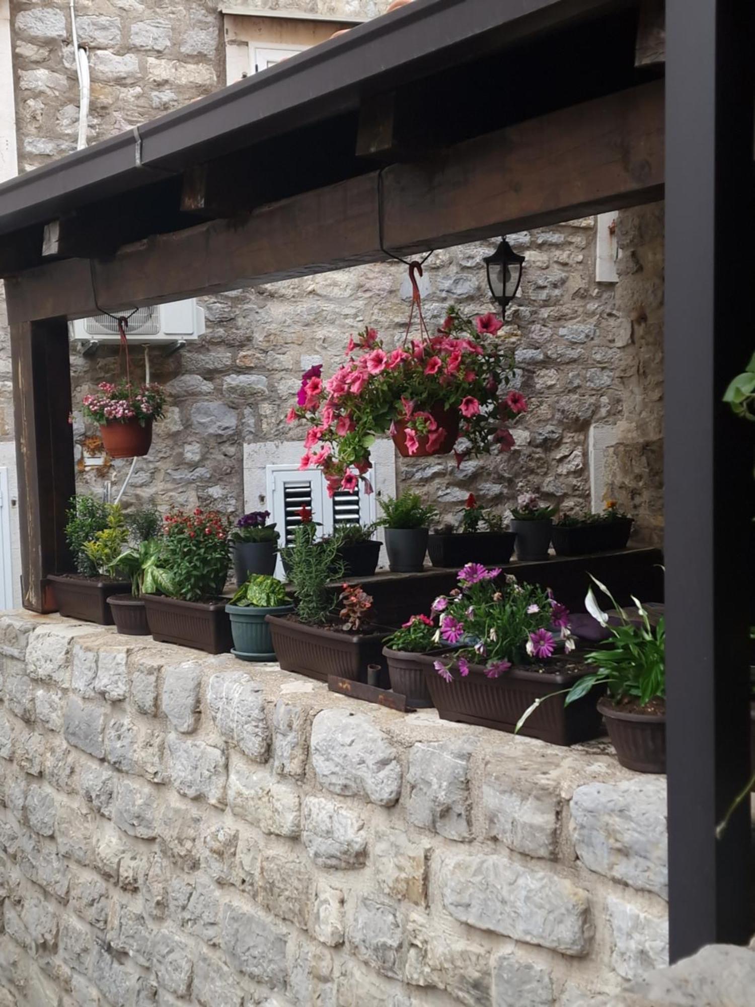 Rooms Dana Old Town בודווה מראה חיצוני תמונה