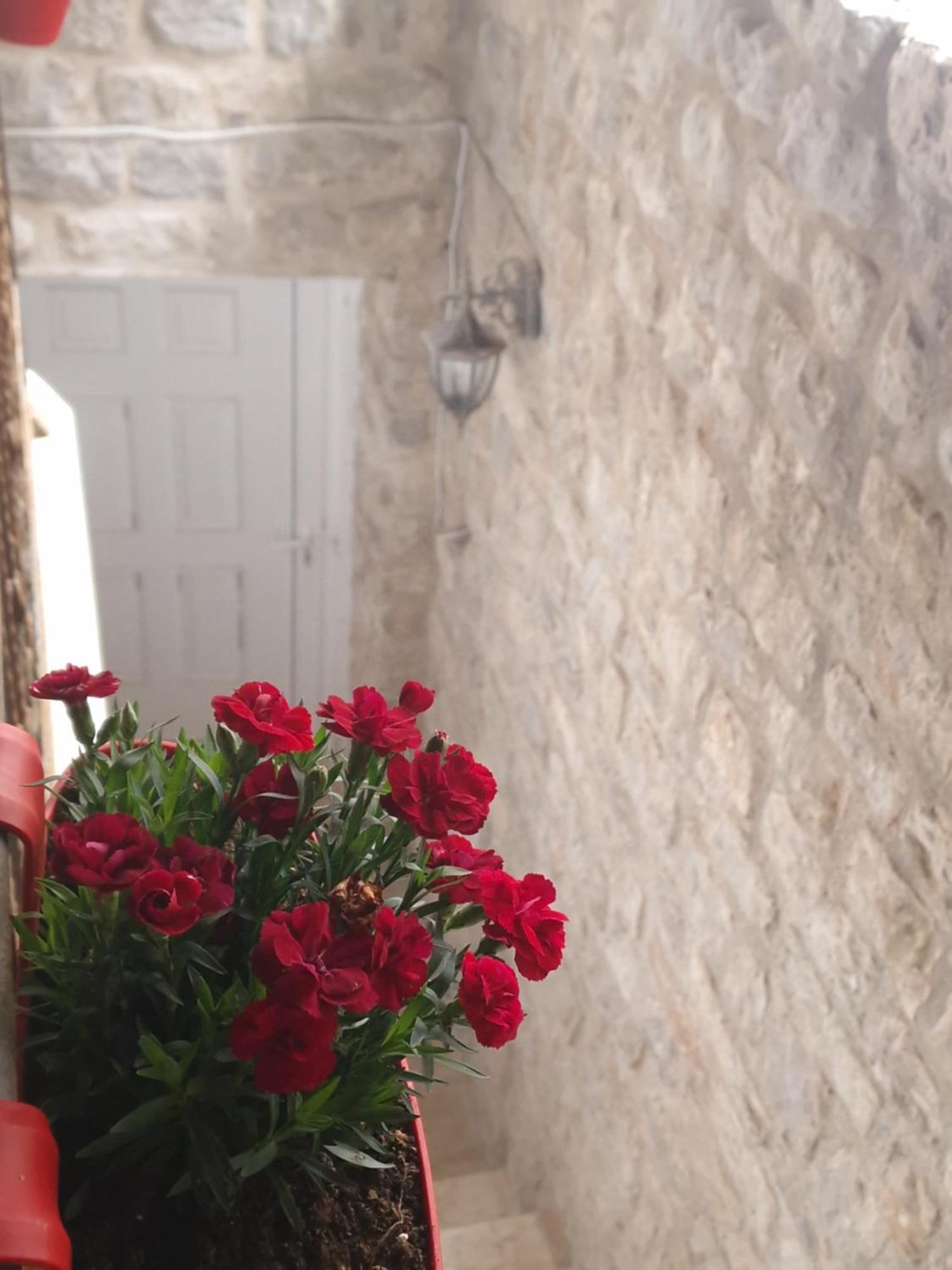 Rooms Dana Old Town בודווה מראה חיצוני תמונה